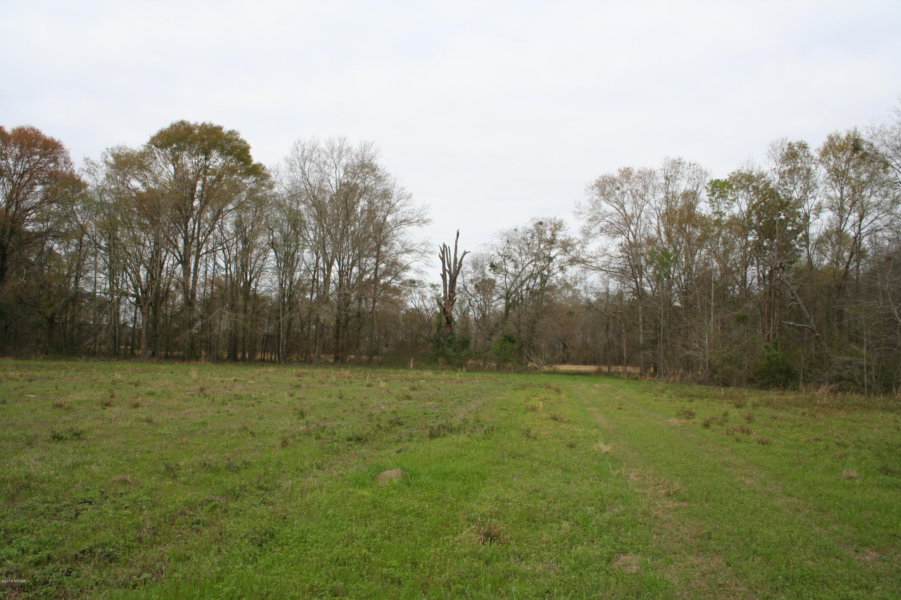 0 Moree-Lamb Road Vienna, GA 31092 - Photo 3 of 24 037