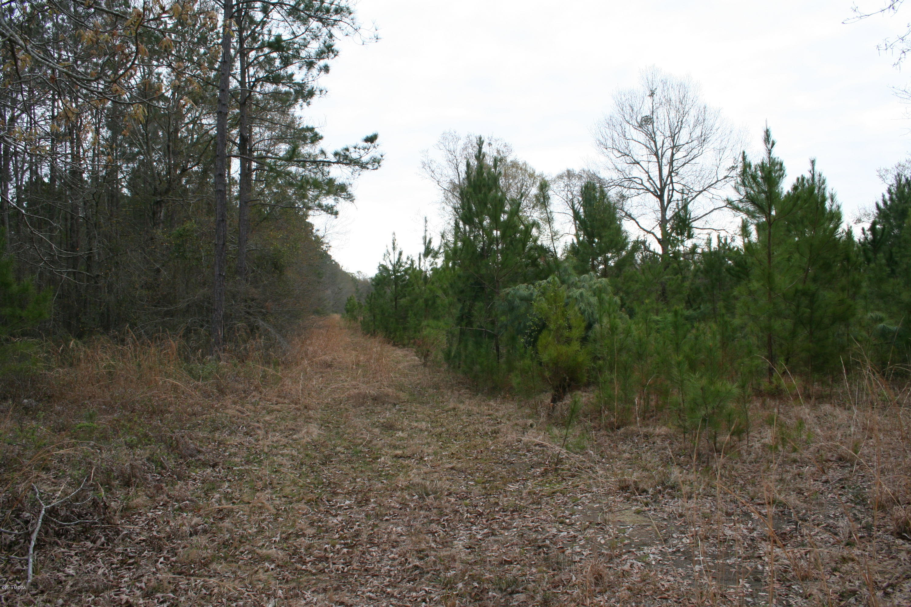 0 Moree-Lamb Road Vienna, GA 31092 - Photo 4 of 24 069