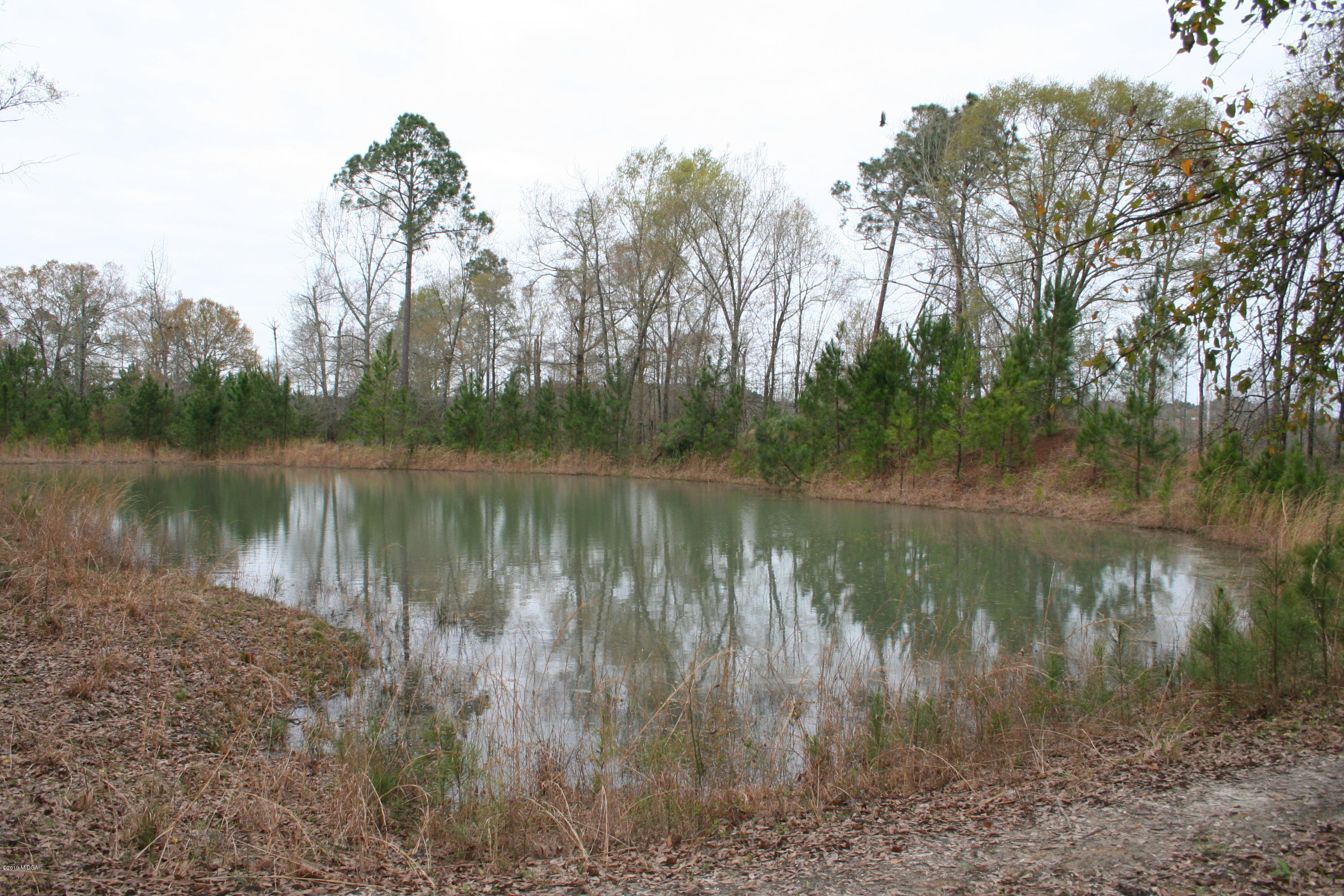 0 Moree-Lamb Road Vienna, GA 31092 - Photo 5 of 24 065