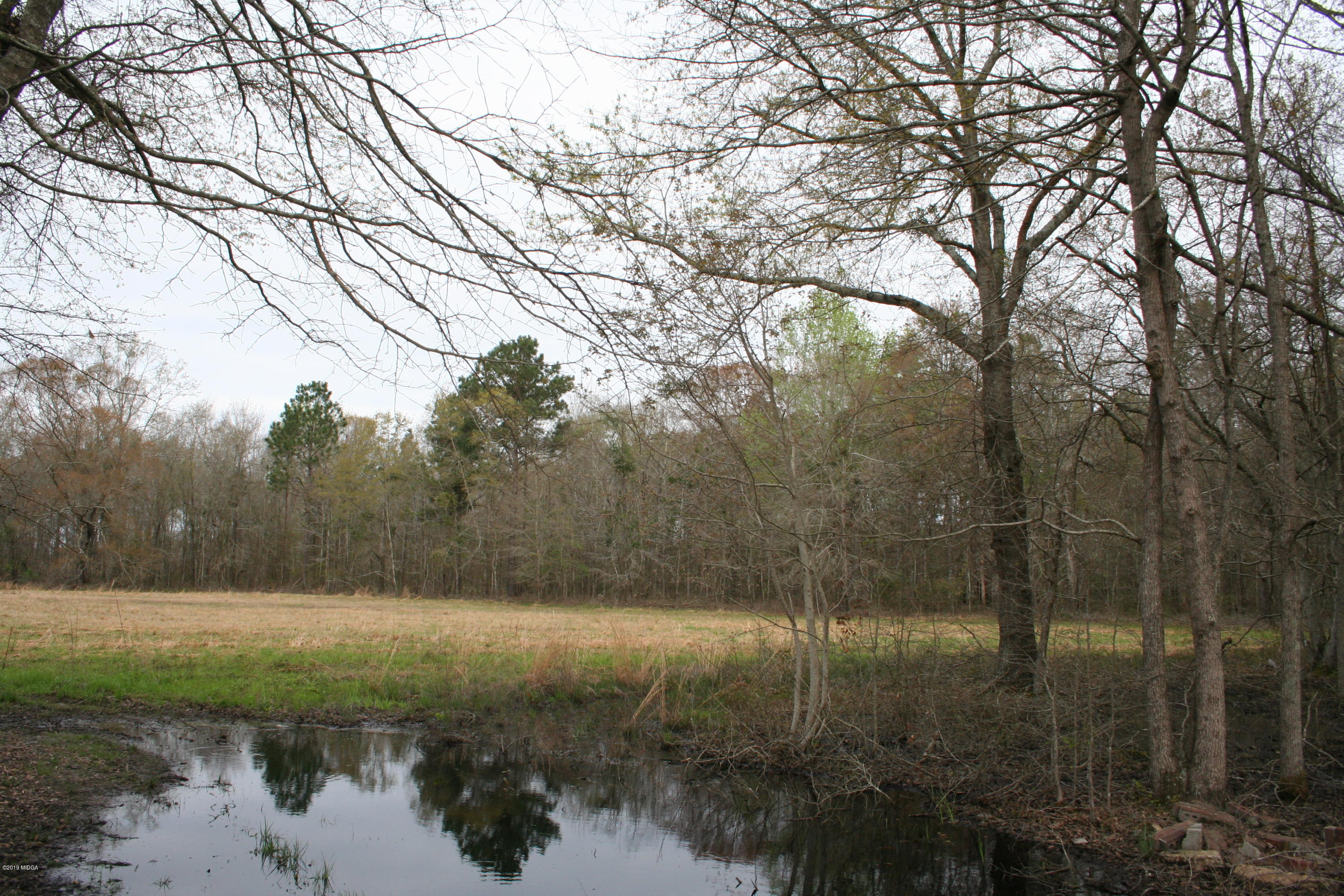 0 Moree-Lamb Road Vienna, GA 31092 - Photo 6 of 24 040