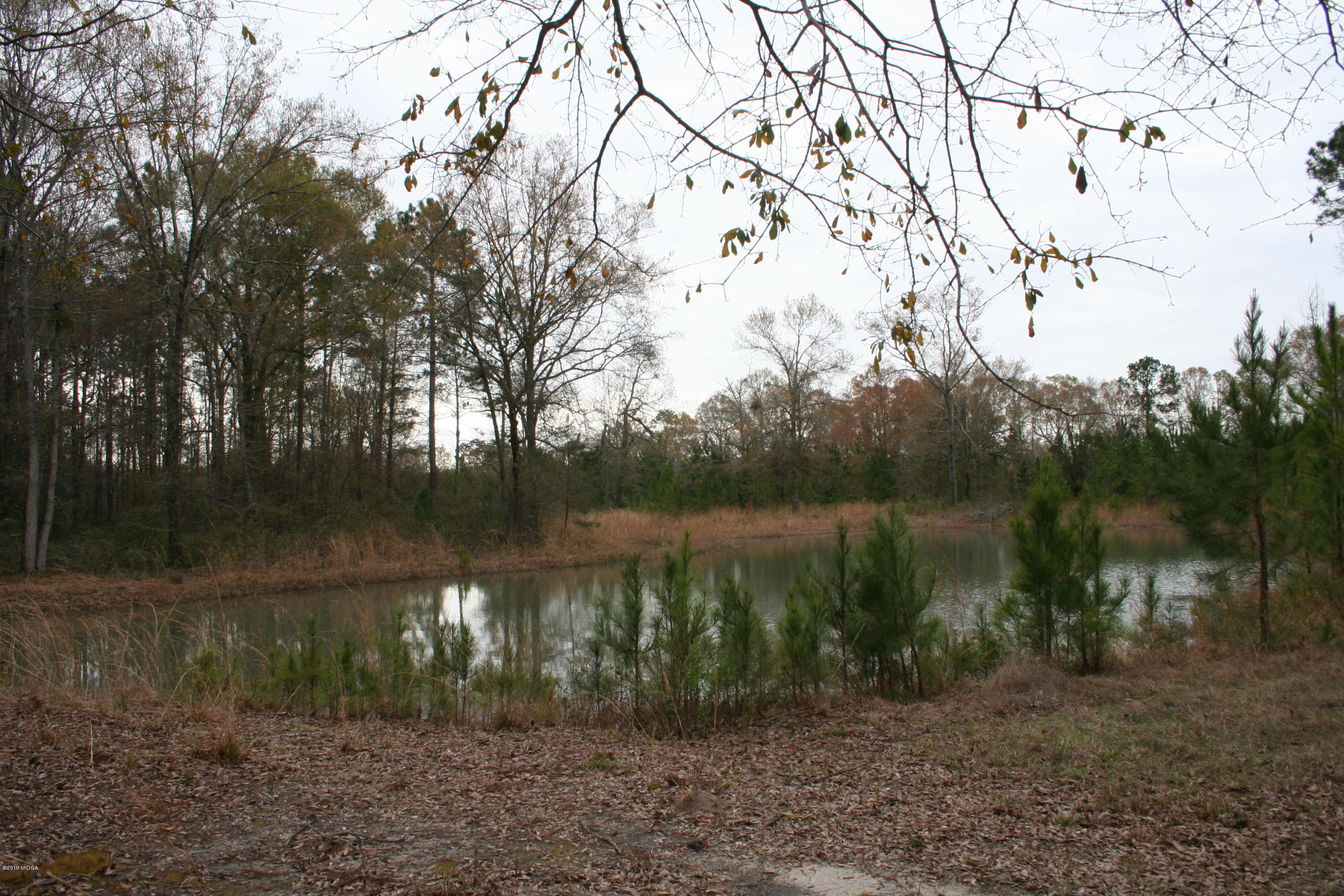 0 Moree-Lamb Road Vienna, GA 31092 - Photo 8 of 24 063