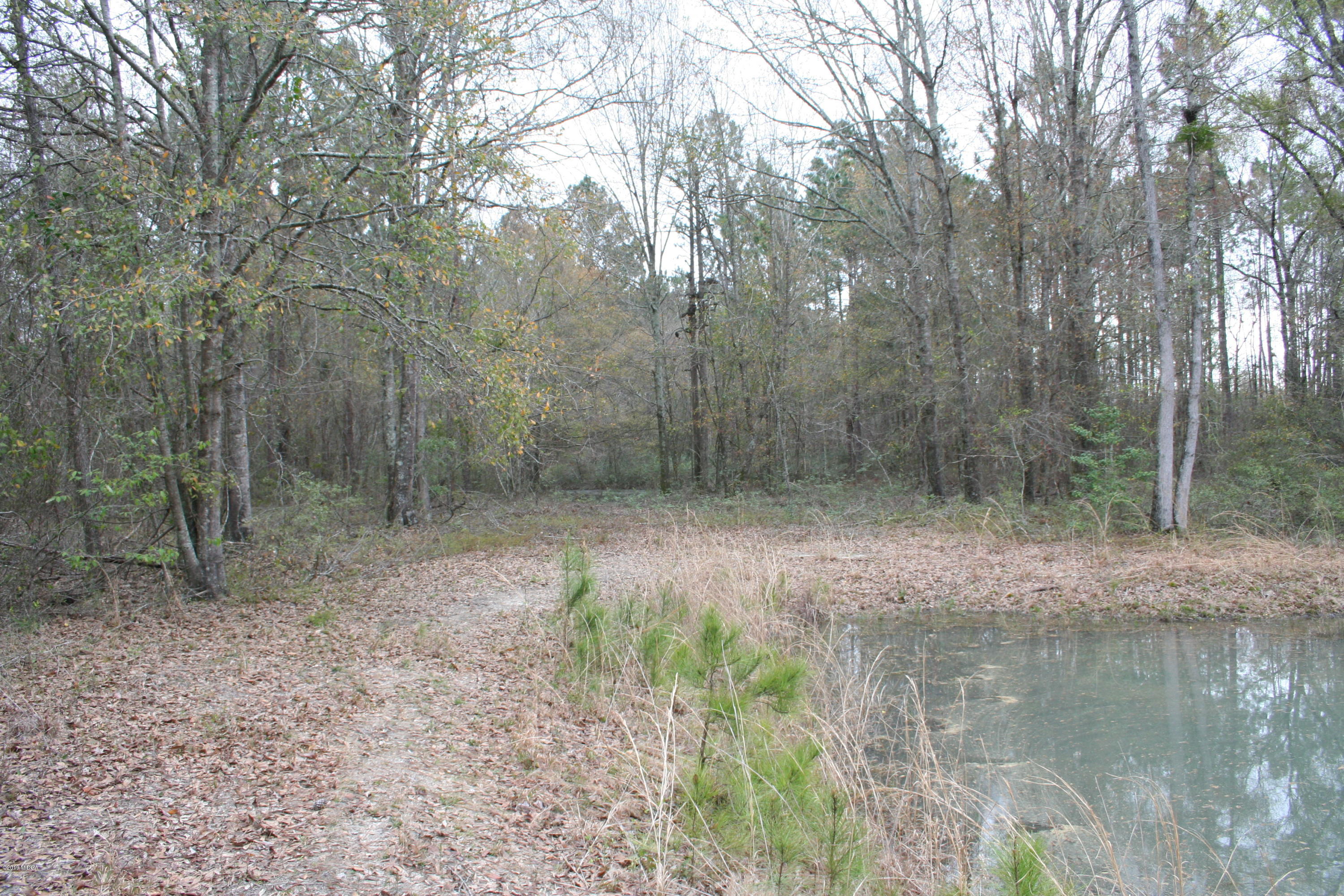 0 Moree-Lamb Road Vienna, GA 31092 - Photo 9 of 24 064