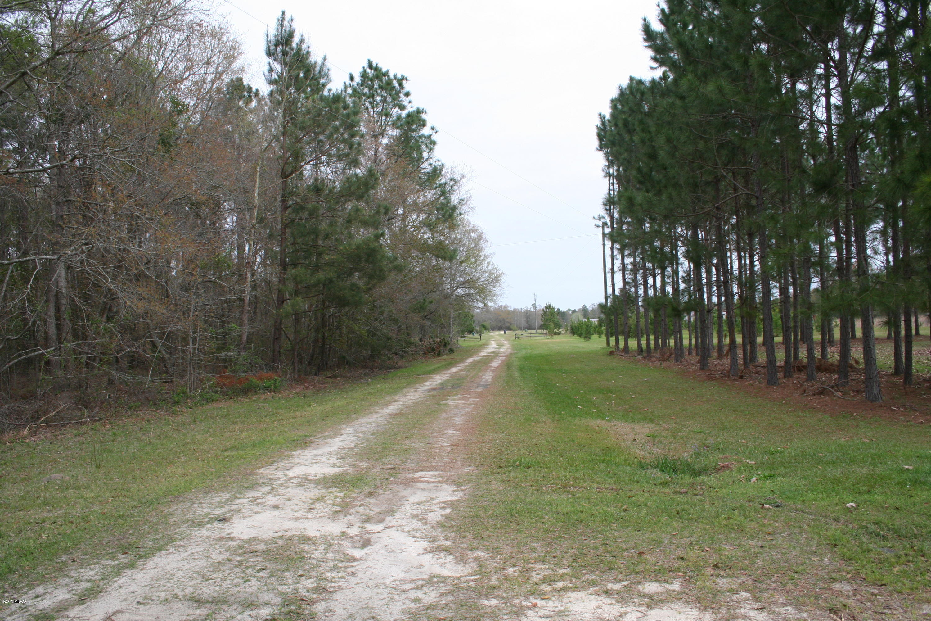 0 Moree-Lamb Road Vienna, GA 31092 - Photo 10 of 24 078