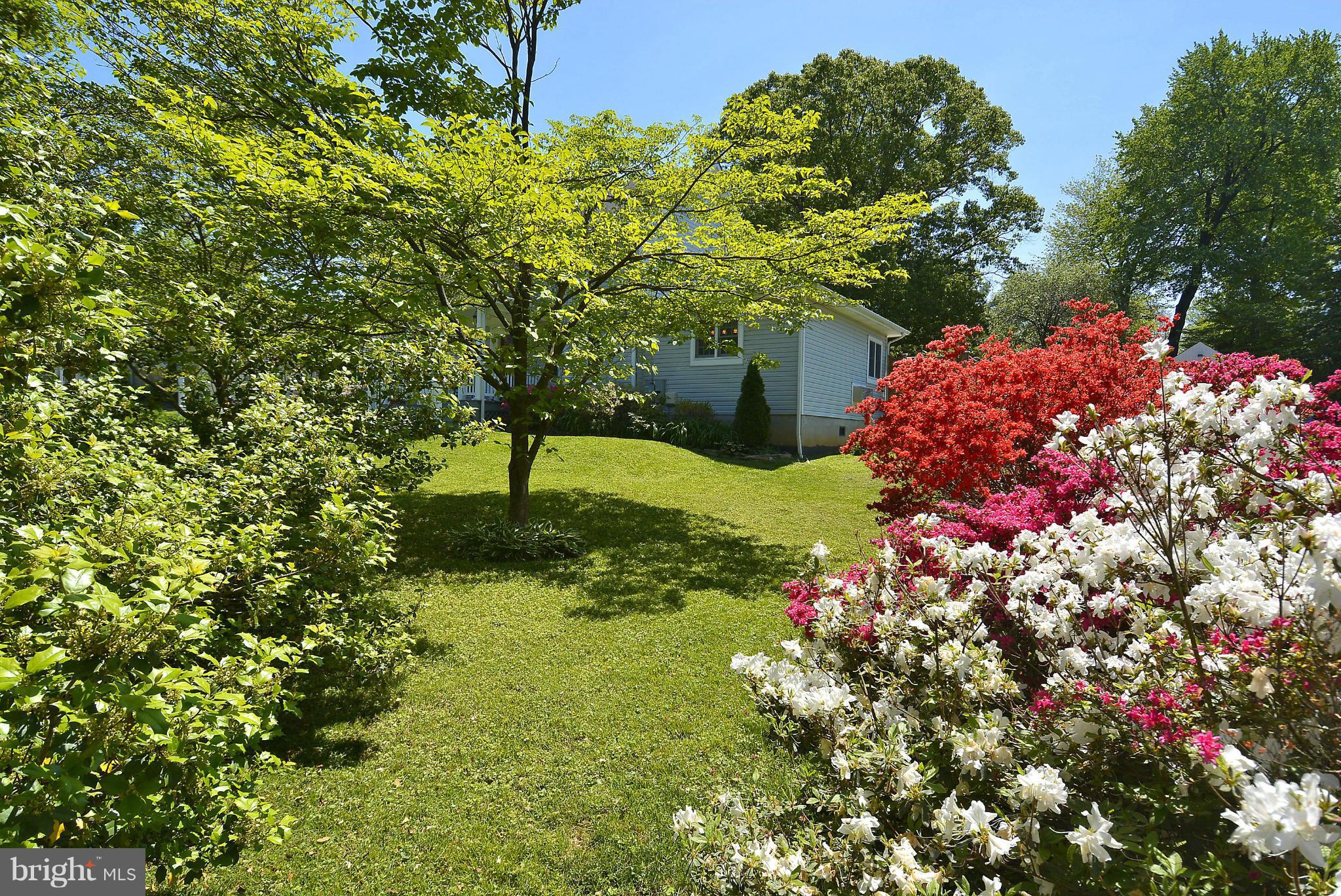 11413 Newport Mill Road Silver Spring, MD 20902 - Photo 5 of 30 Exterior (General)