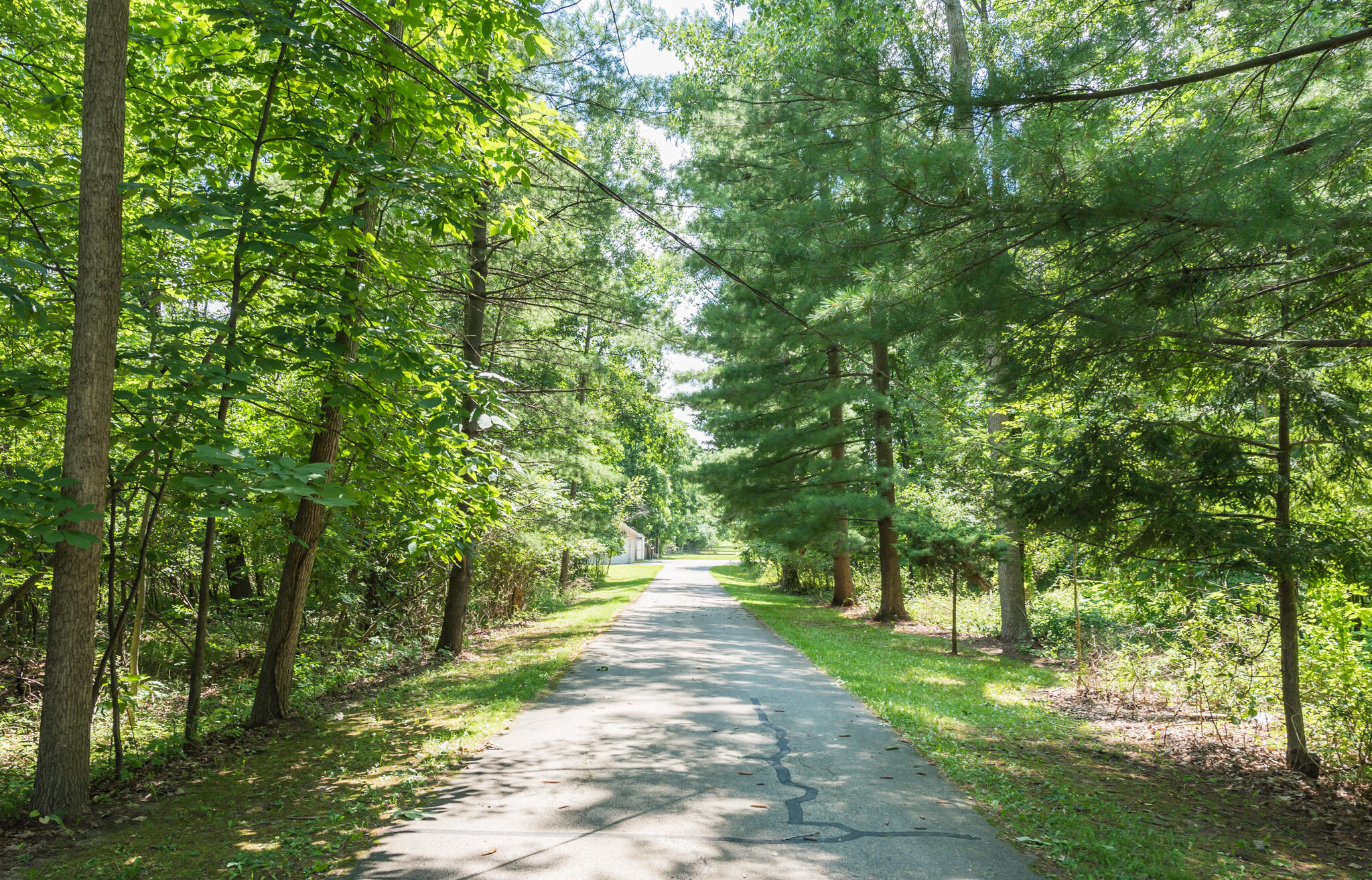 6170 Cascade Road Southeast Grand Rapids, MI 49546 - Photo 11 of 77 1_Driveway-1