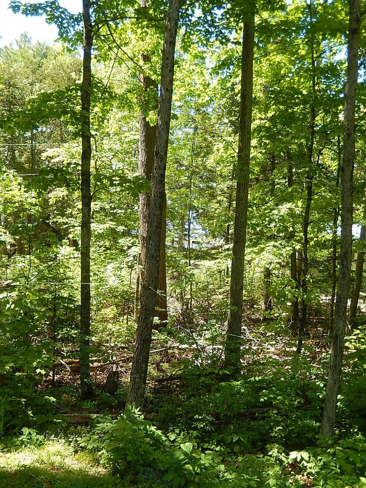 52 Quail Lane Unity, ME 04988 - Photo 15 of 18 DSCN9662