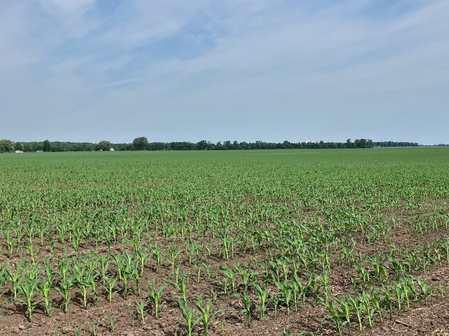 0 Center Road Rochelle, IL 61068 - Photo 16 of 32