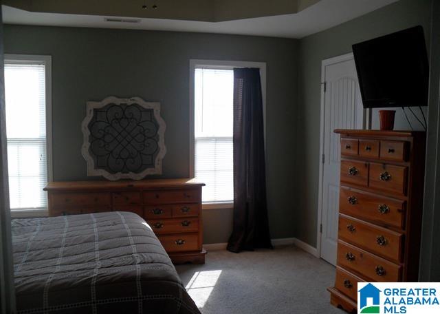 30 Jackson Lane Lincoln, AL 35096 - Photo 7 of 20
