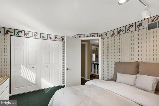 a bedroom with a bed and a walk in closet