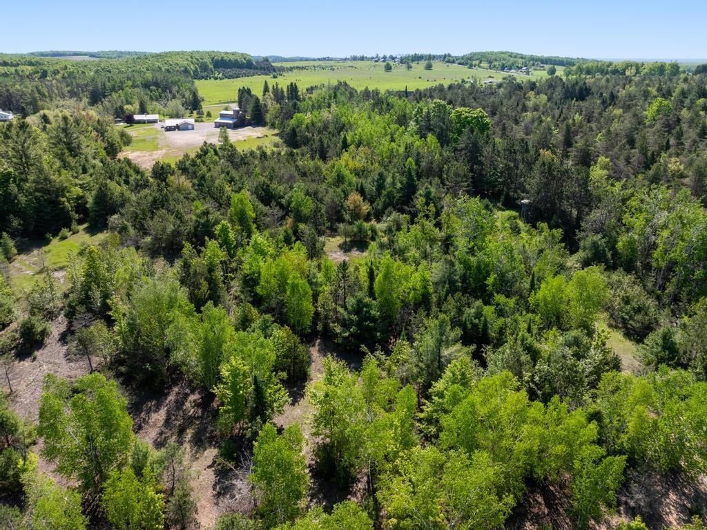 7361 South Extension Road Cheboygan, MI 49721 - Photo 59 of 62 DJI_20260601103137_0031_D
