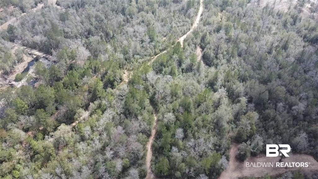 0 Chunchula Georgetown Road Chunchula, AL 36521 - Photo 12 of 15 Aerial view featuring a view of trees