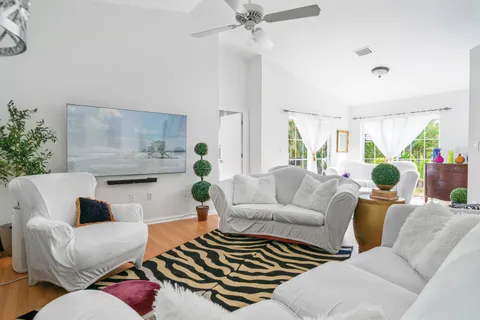 a living room with furniture and a potted plant