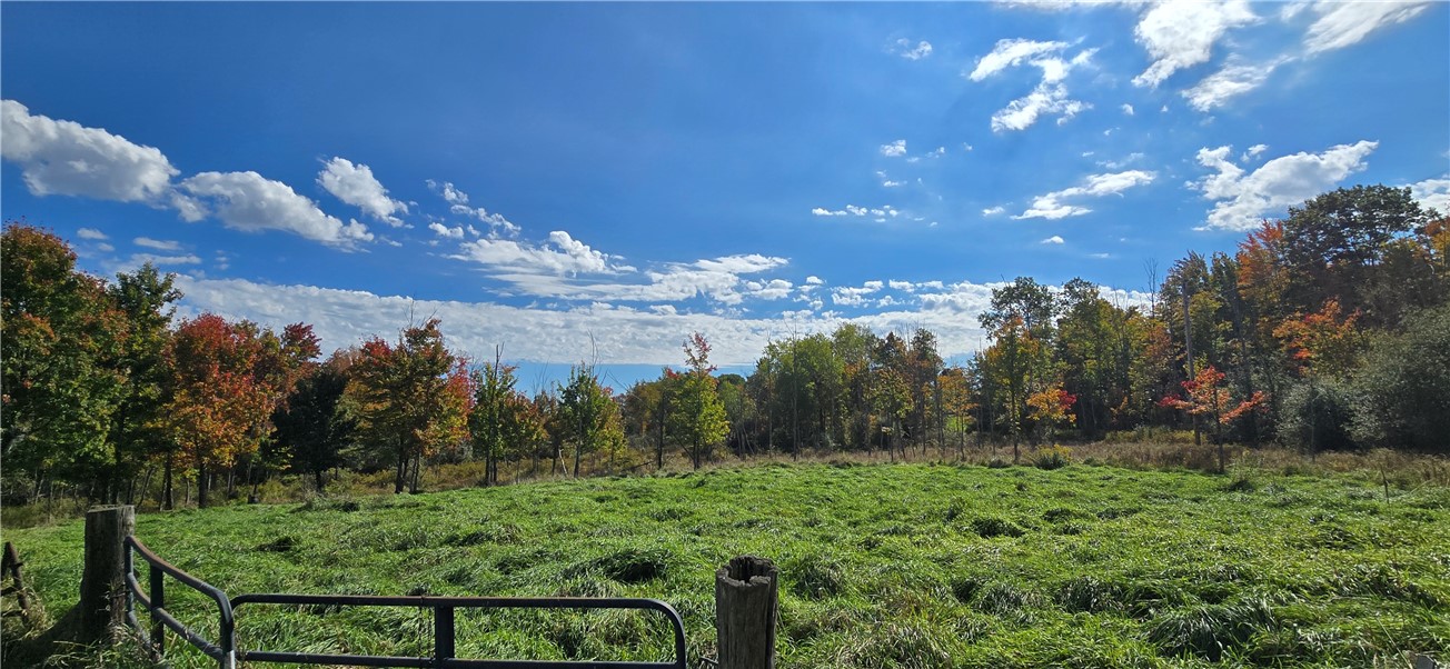 4740 Tucker Road Thurston, NY 14821 - Photo 6 of 46 Gallery Image 6
