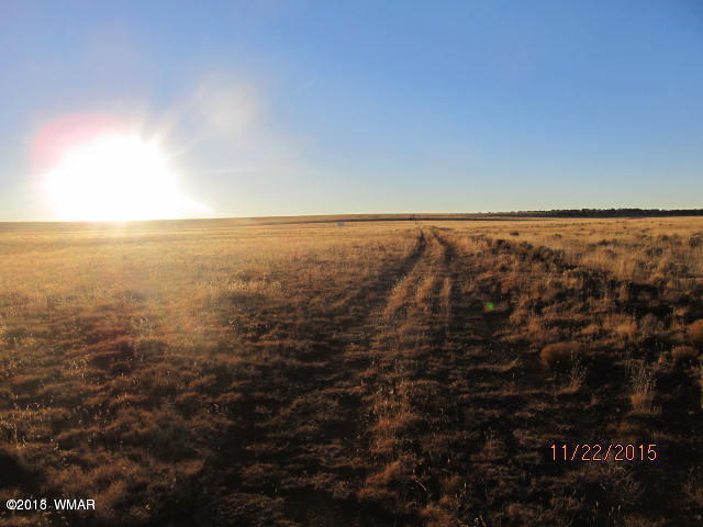 Lot 001 County Road Concho, AZ 85924 - Photo 7 of 8