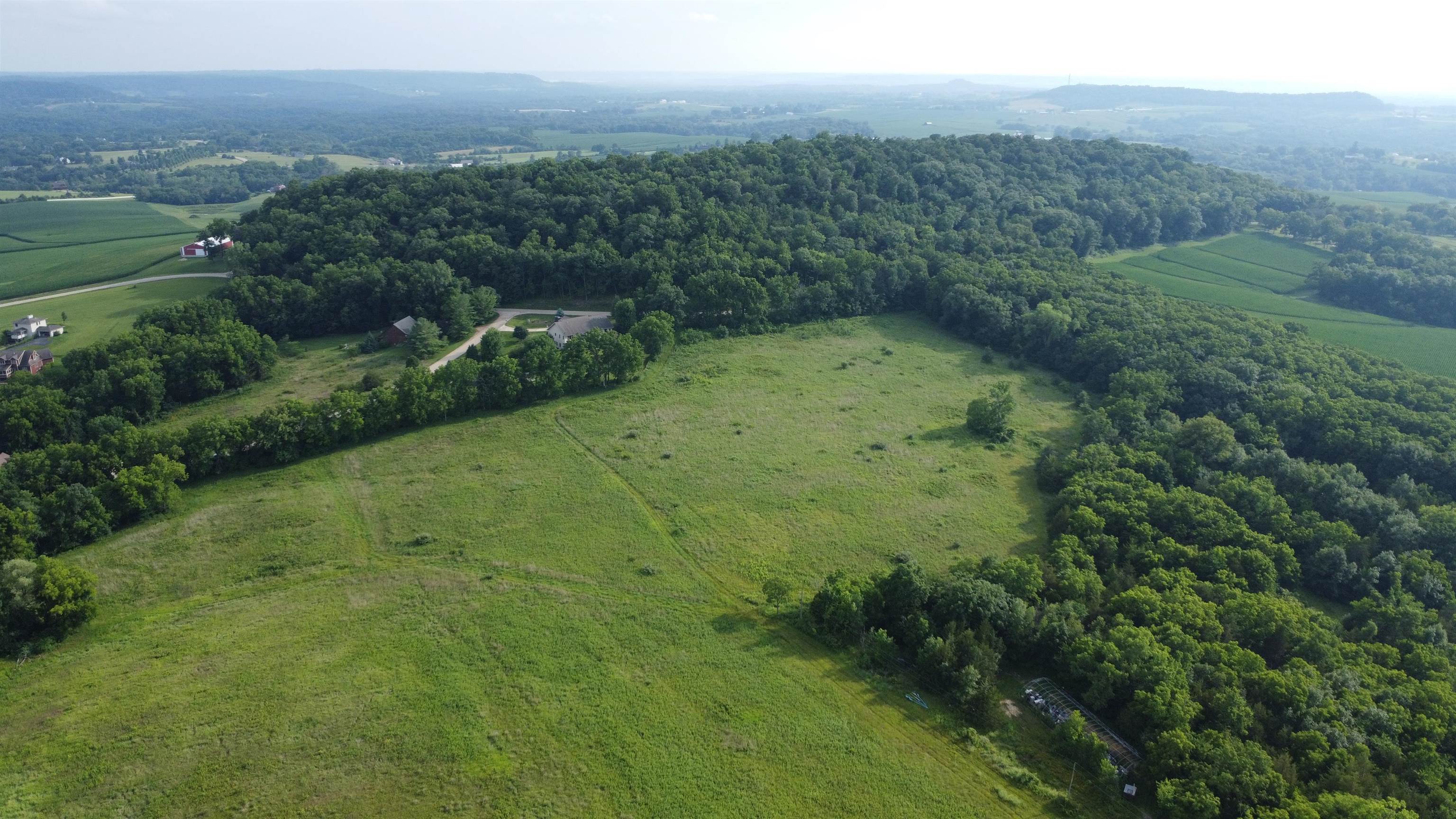 a view of a big yard with large trees