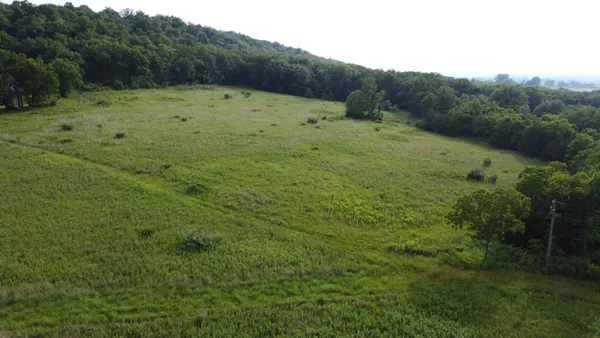 a view of a grassy field with trees