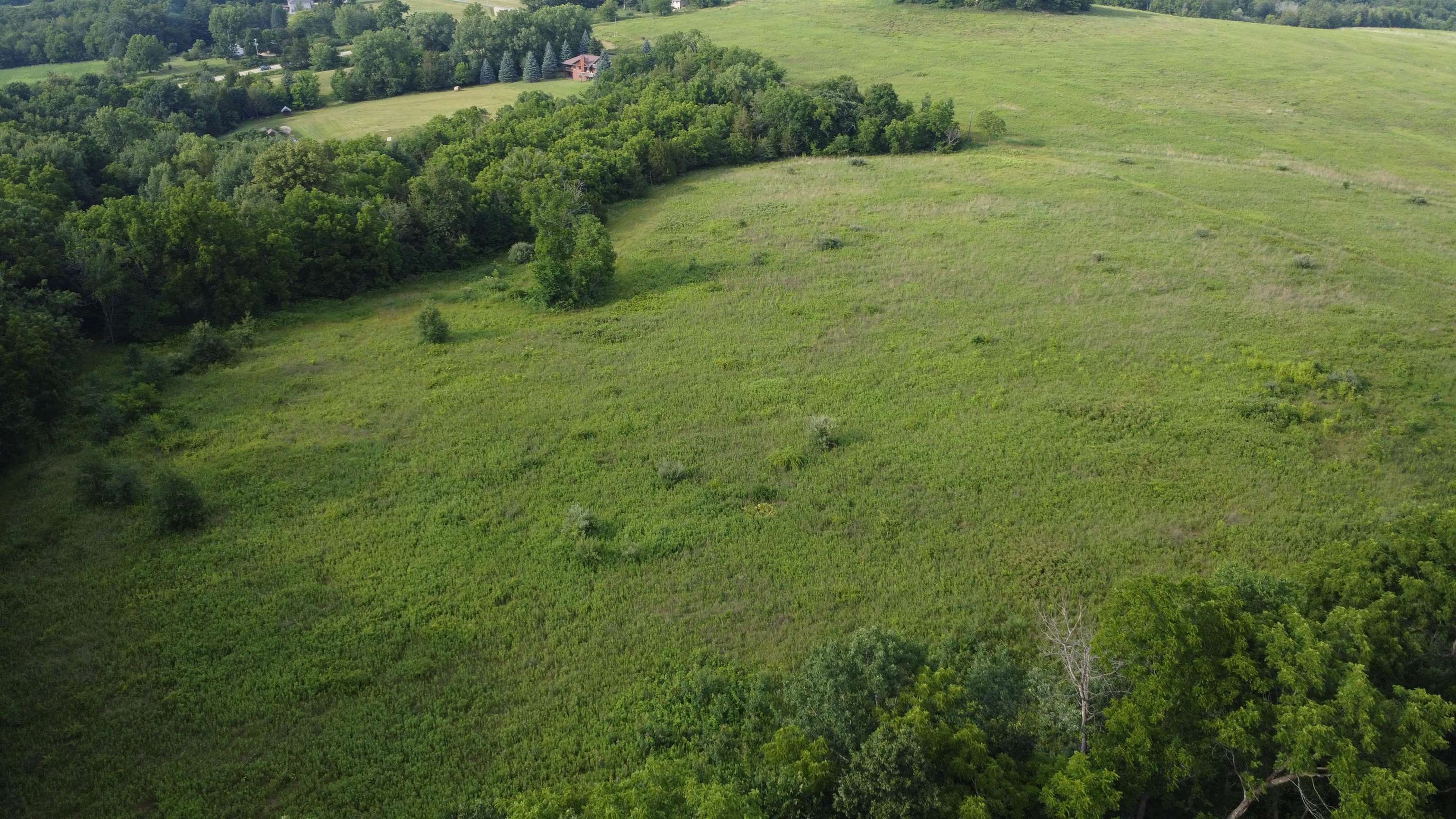 Tbd West Guilford Road Galena, IL 61036 - Photo 7 of 21 a view of a big yard with green space