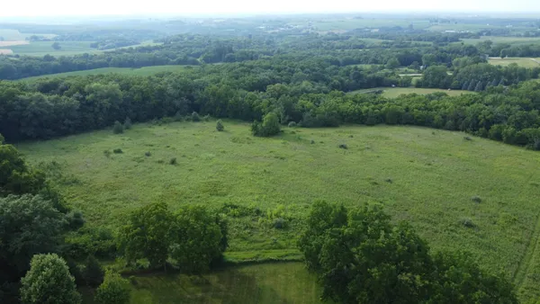 a view of a lush green forest