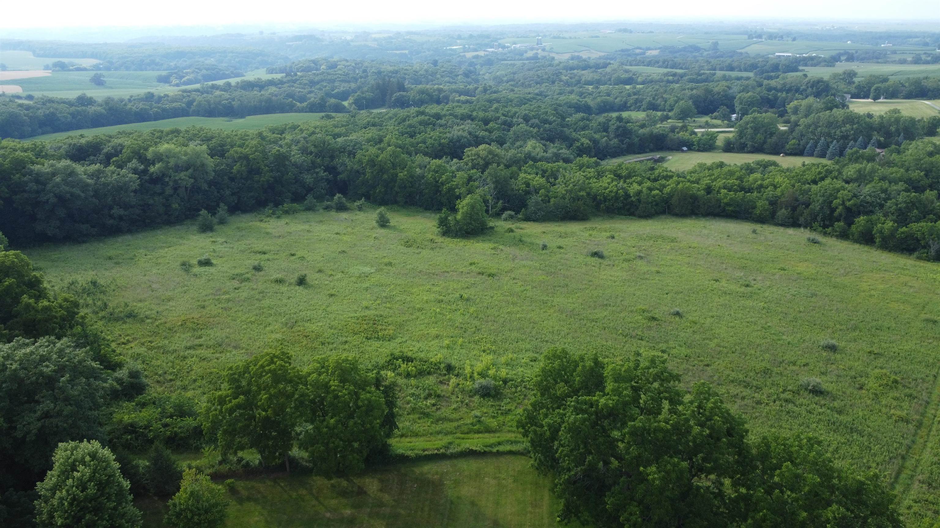 Tbd West Guilford Road Galena, IL 61036 - Photo 8 of 21 a view of a lush green forest