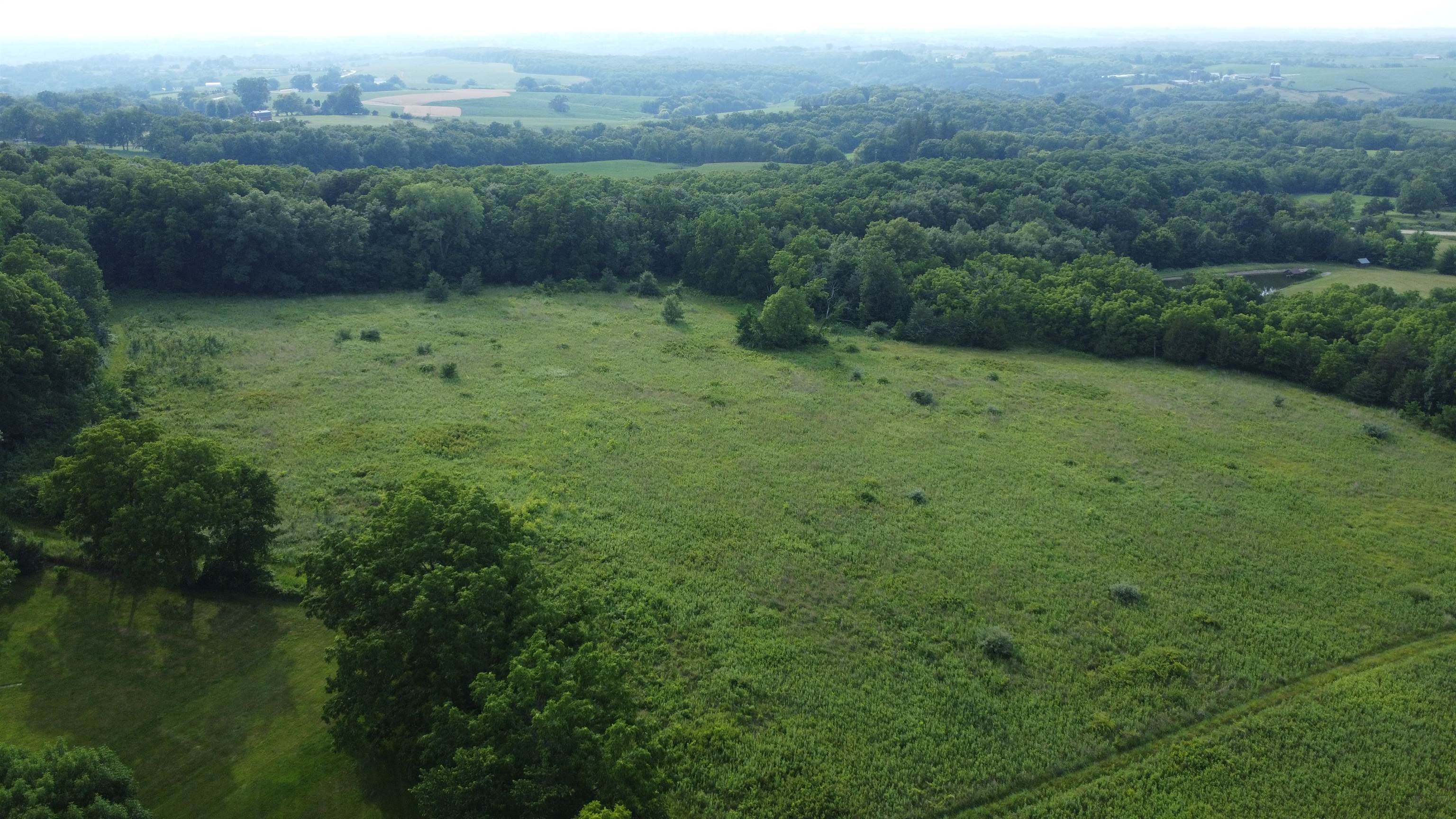 Tbd West Guilford Road Galena, IL 61036 - Photo 9 of 21 a view of a green field with trees in the background