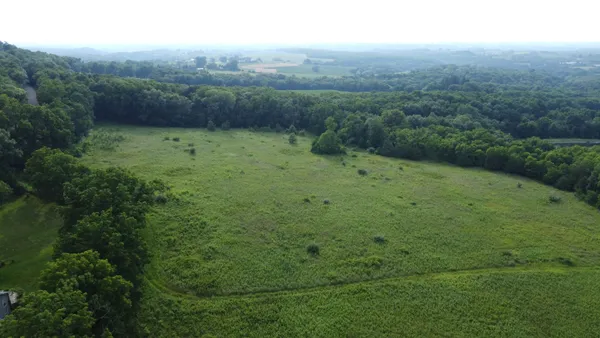 a view of a green field with lots of bushes