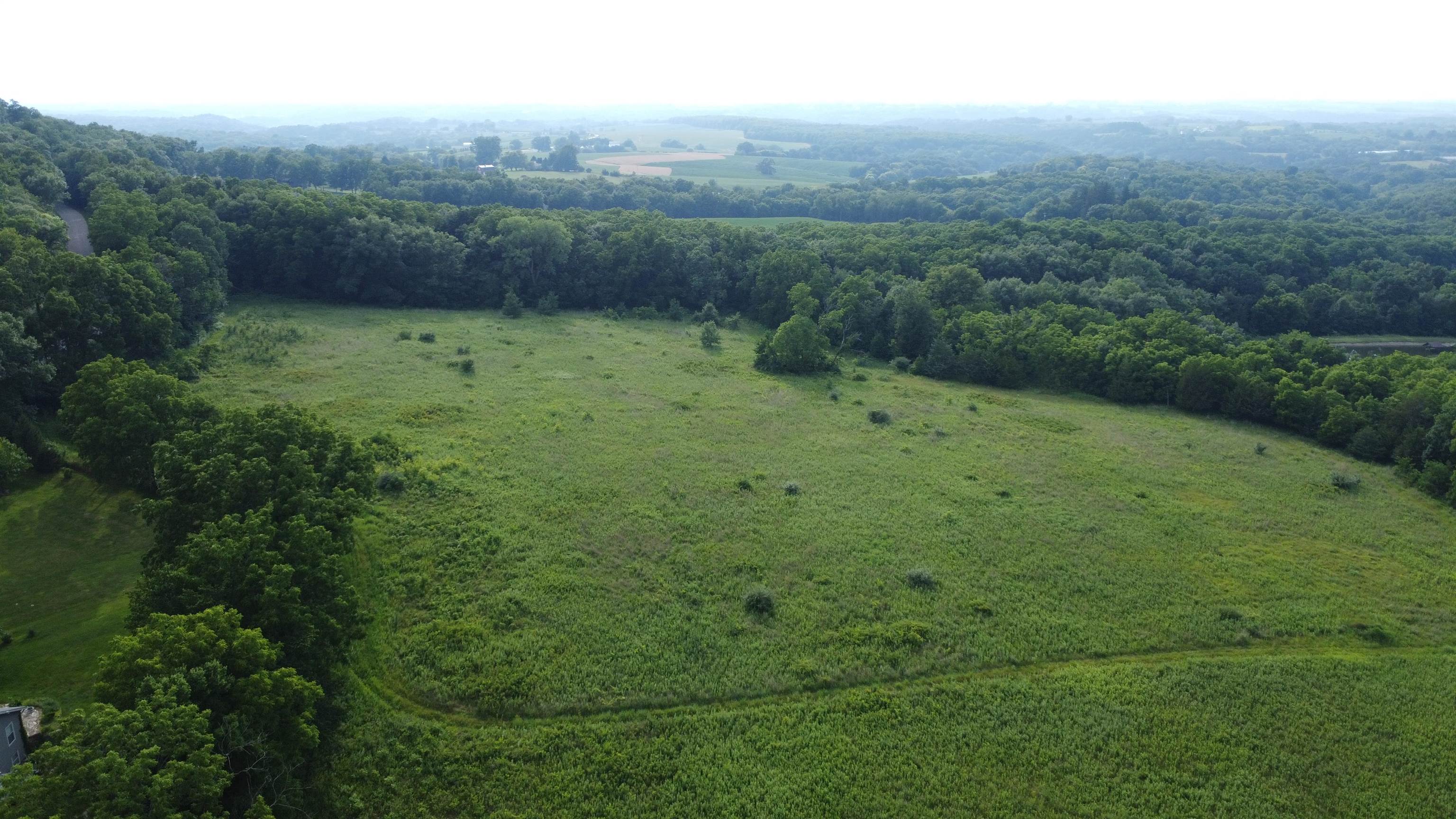 Tbd West Guilford Road Galena, IL 61036 - Photo 10 of 21 a view of a green field with lots of bushes