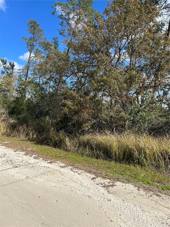 0 Orinoco Weeki Wachee, FL 34613 - Photo 1 of 1 view looking north