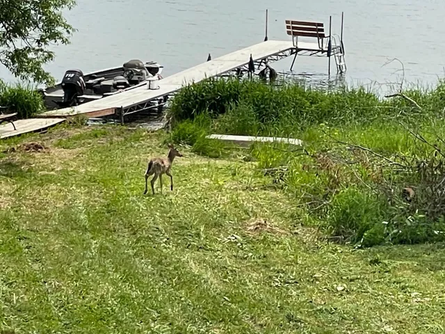 $399,900 | 66441 Island Lake Lane, Northome, MN 56661