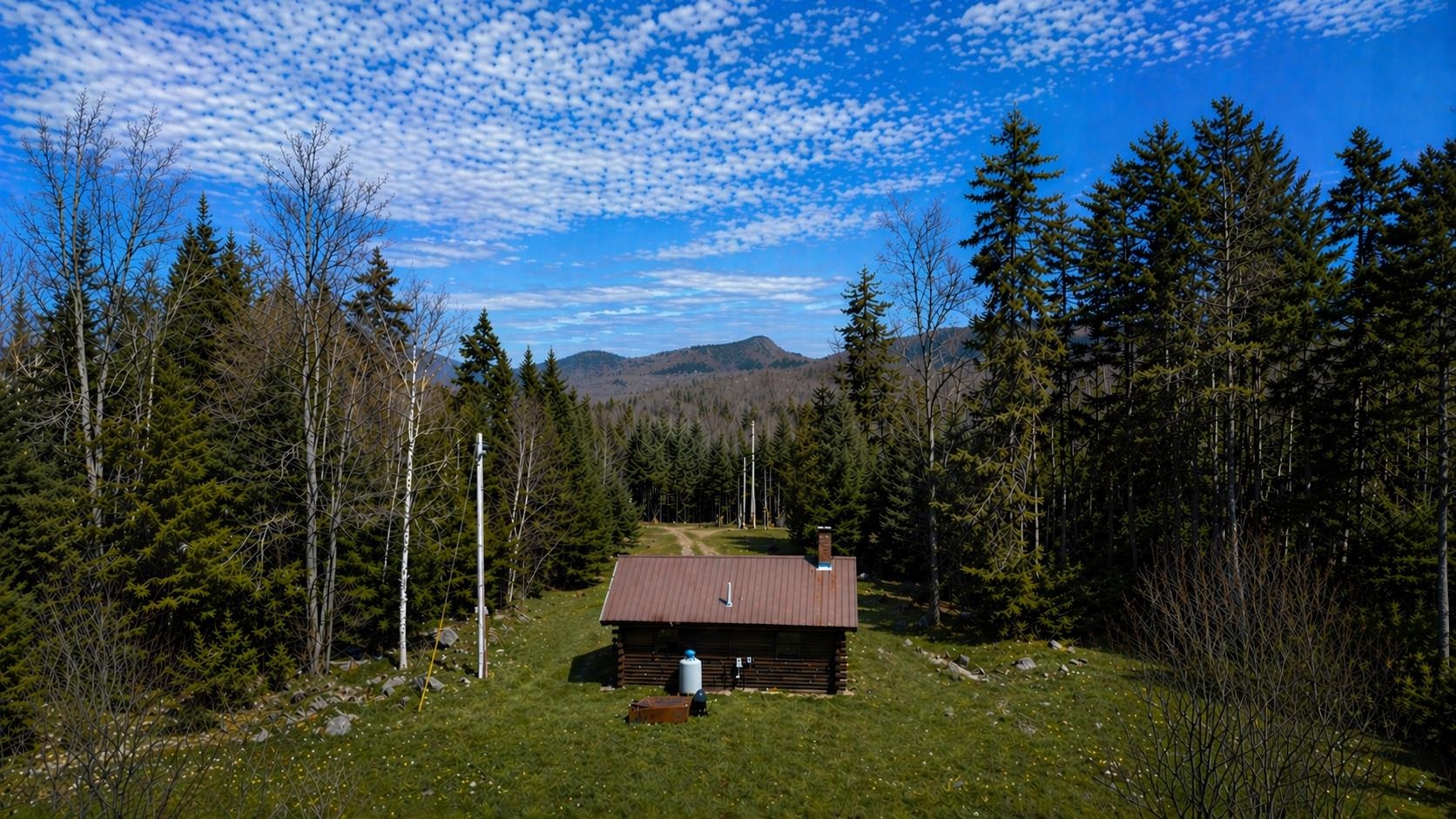 975 Newark Pond Road Newark, VT 05871 - Photo 10 of 13