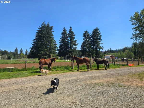 $540,000 | 22816 South Bonney Road, Colton, OR 97017