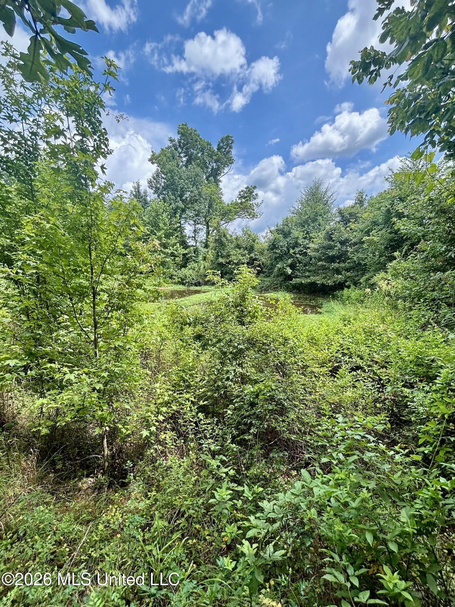 11616 Wildwood Road Vaughan, MS 39179 - Photo 16 of 27 IMG_5013