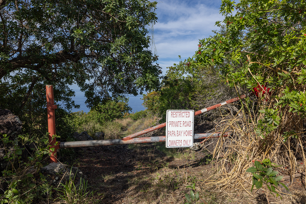 Lot B, Lot B Captain Cook, HI 96704 - Photo 1 of 7 a view of a tree with a yard