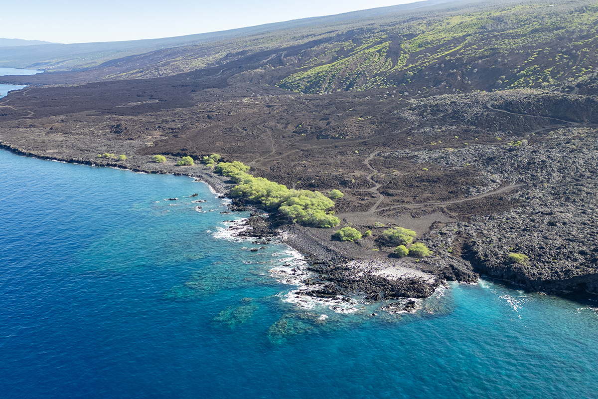 Lot B, Lot B Captain Cook, HI 96704 - Photo 6 of 7 a view of a yard with an outdoor space