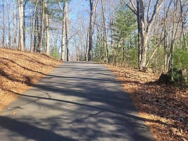 a view of a backyard of the house