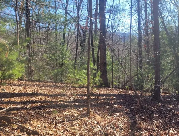 a view of outdoor space and trees
