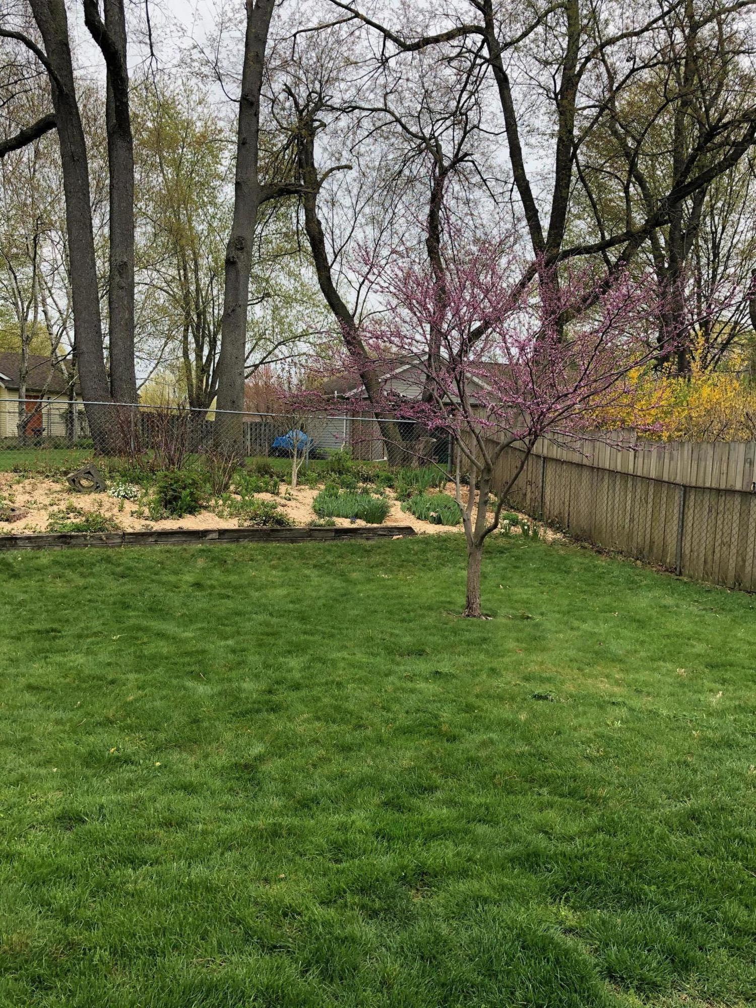 728 Piccadilly Road Kalamazoo, MI 49006 - Photo 3 of 11 image2