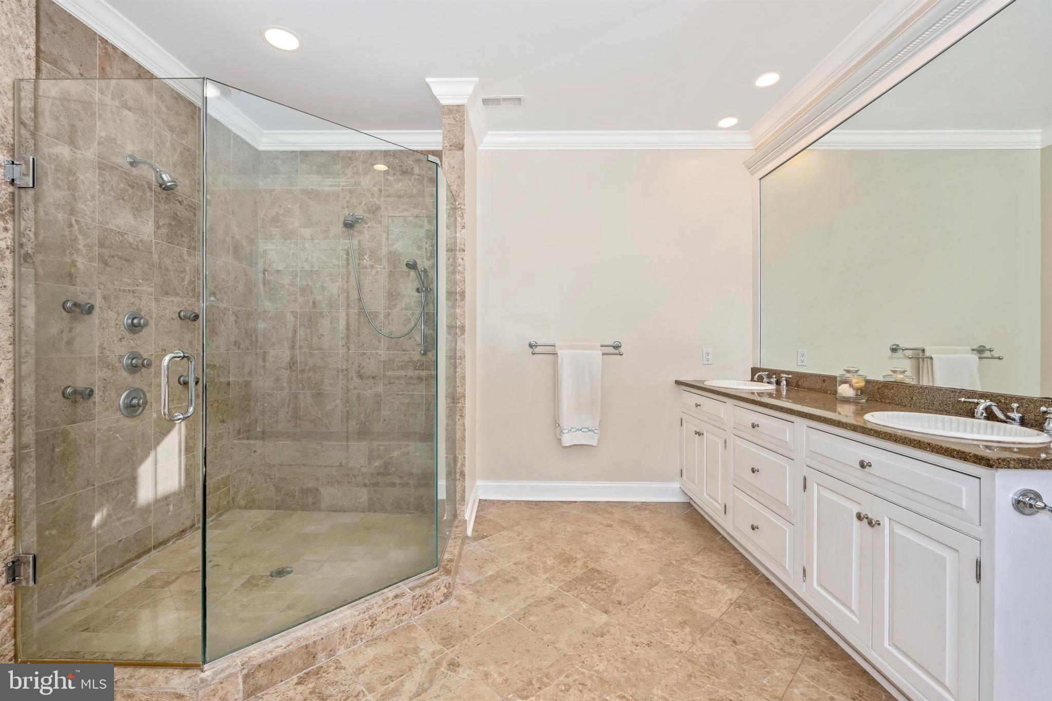 11340 Albermyrtle Road Potomac, MD 20854 - Photo 20 of 42 Master Bath Shower with jets and two shower heads