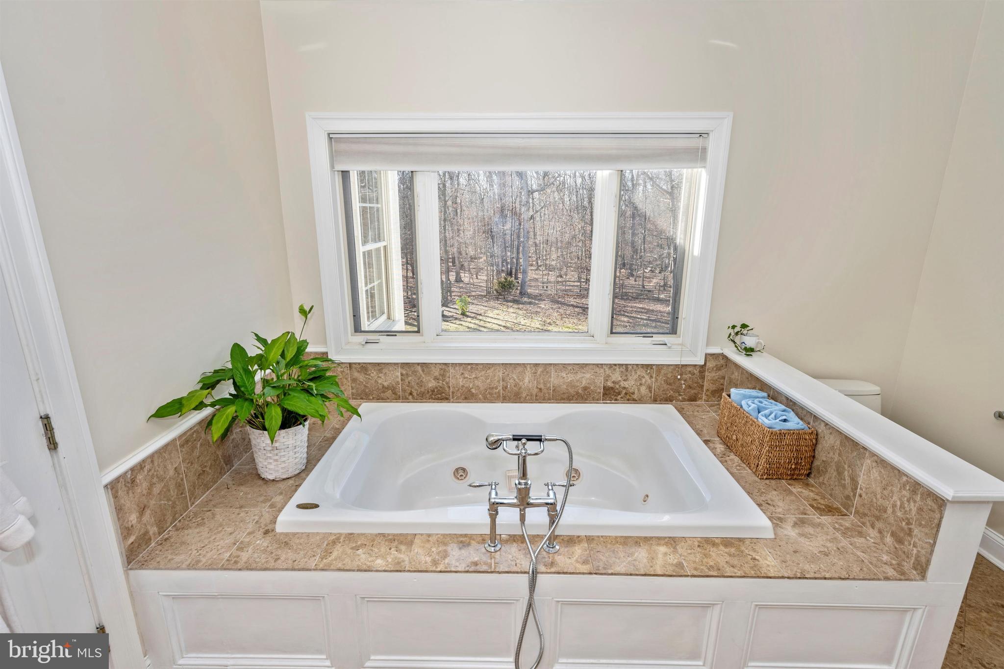 11340 Albermyrtle Road Potomac, MD 20854 - Photo 21 of 42 Whirlpool Tub Window overlooks parkland