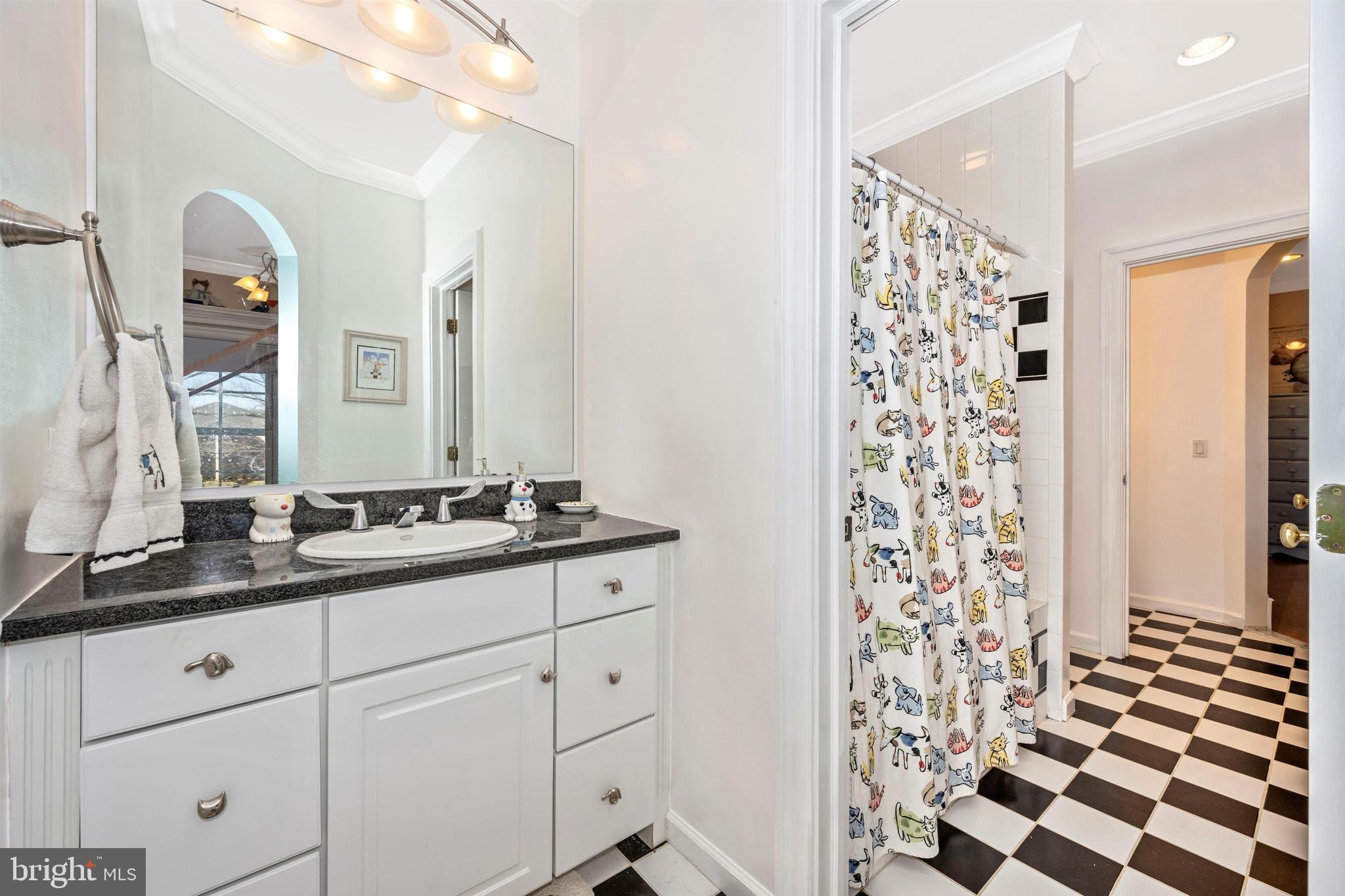 11340 Albermyrtle Road Potomac, MD 20854 - Photo 25 of 42 Buddy bath for 3rd and 4th bedrooms each with sink