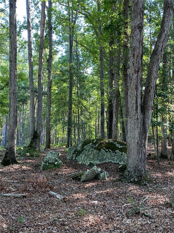 2 Pine Forest Drive, Unit TRACT B Lancaster, SC 29720 - Photo 6 of 8 a view of outdoor space and green space