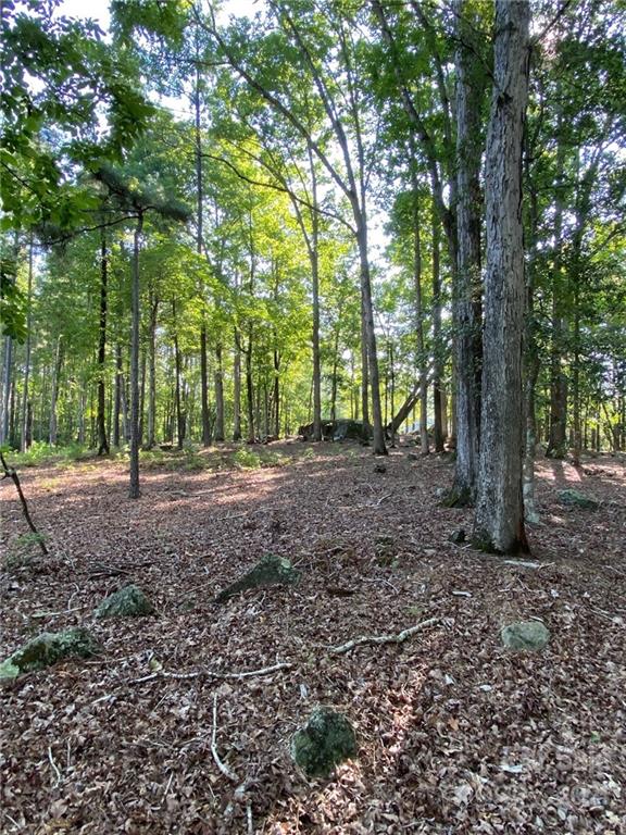 2 Pine Forest Drive, Unit TRACT B Lancaster, SC 29720 - Photo 7 of 8 a view of outdoor space with lots of trees