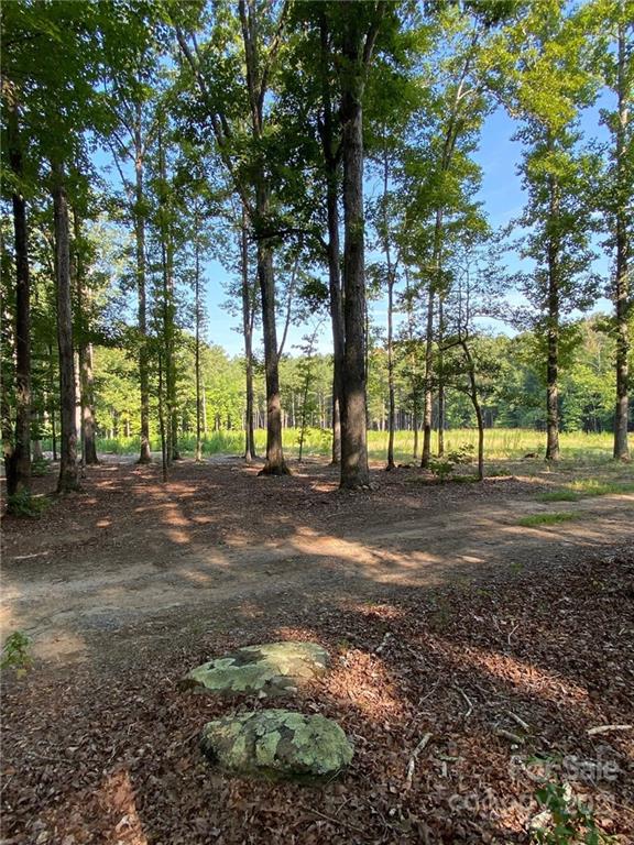 2 Pine Forest Drive, Unit TRACT B Lancaster, SC 29720 - Photo 8 of 8