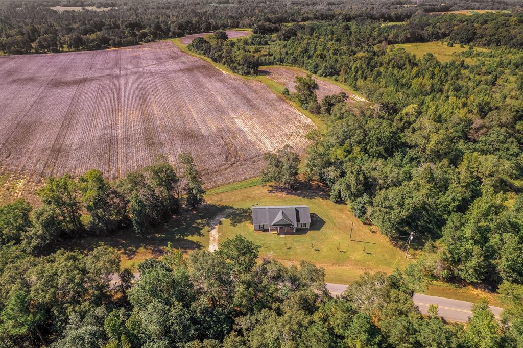 1365 Lonnie Road Slocomb, AL 36375 - Photo 49 of 53
