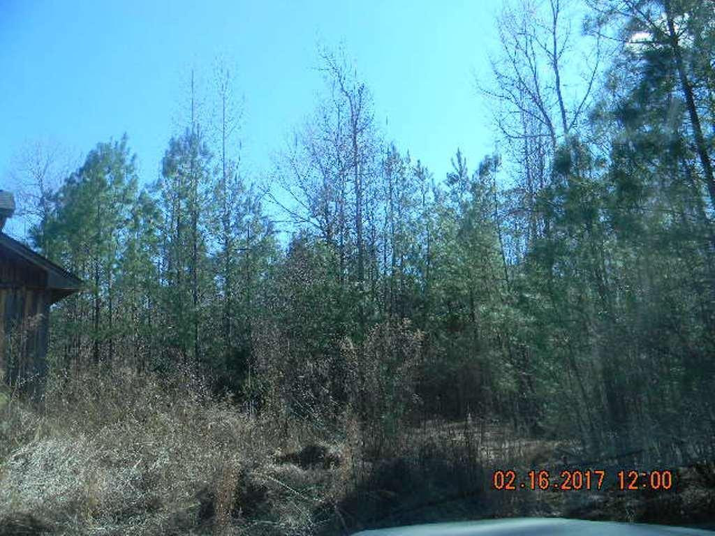 2230 Preacher Davis Road Haw River, NC 27258 - Photo 2 of 3 Gallery Image 2