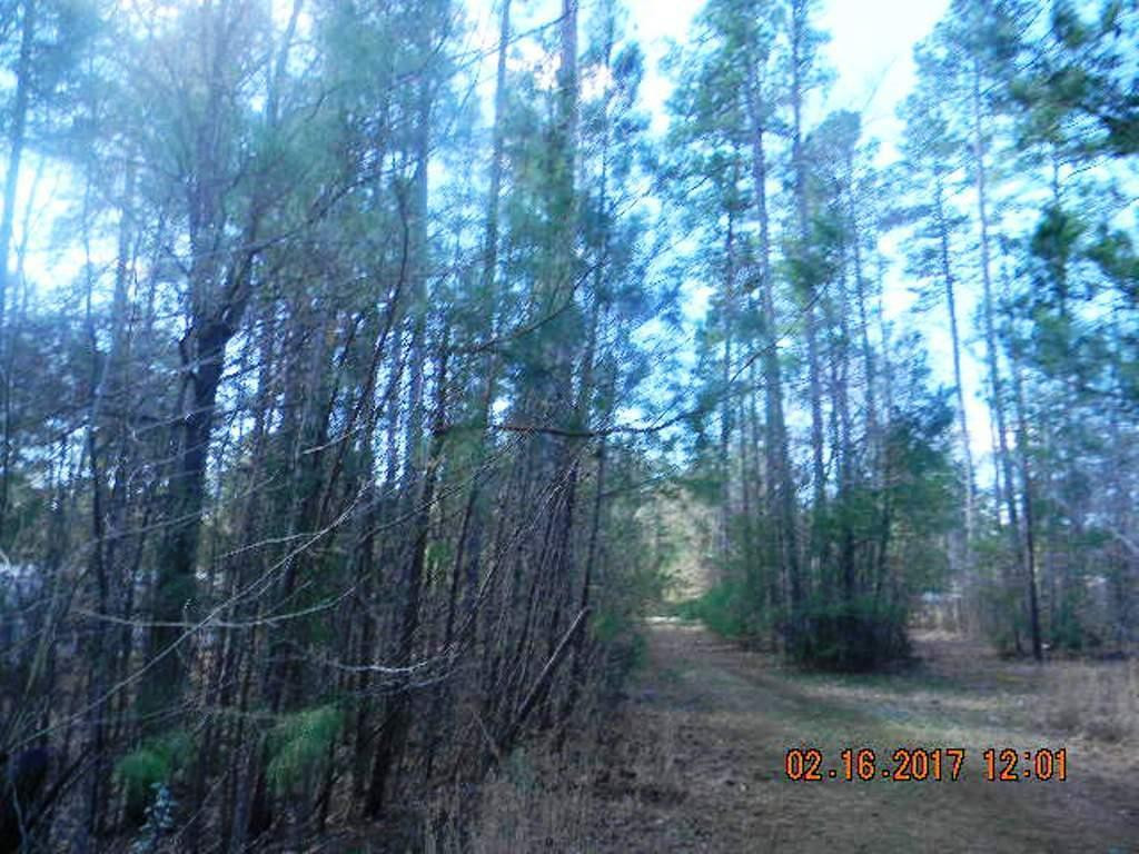 2230 Preacher Davis Road Haw River, NC 27258 - Photo 3 of 3 Gallery Image 3