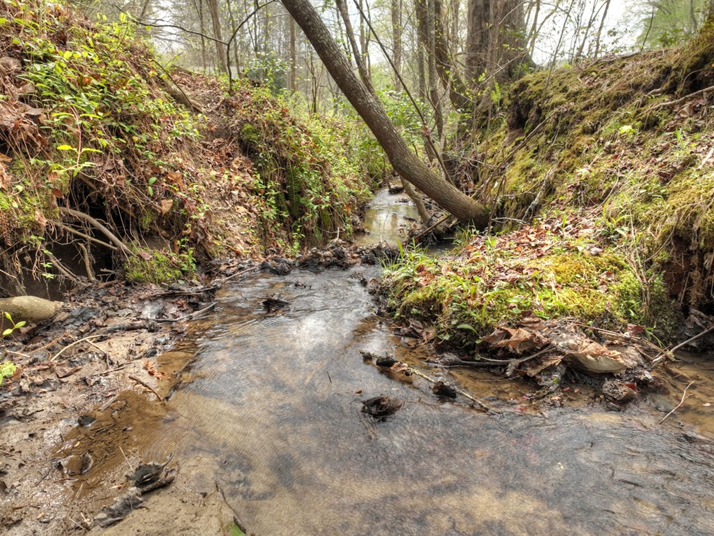 9.13-ac Hells Hollow Road Blue Ridge, GA 30513 - Photo 40 of 59 Gallery Image 40