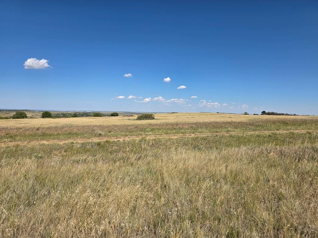 Lot 13 Nancy Court Rye, CO 81069 - Photo 5 of 9 Gallery Image 5