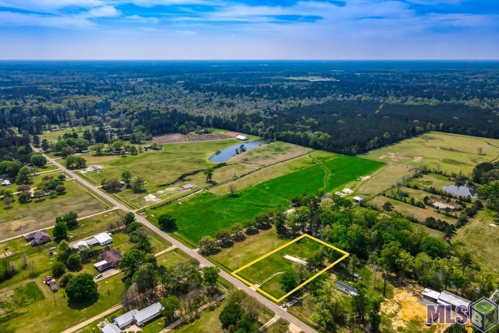 21139 Chaney Road Zachary, LA 70791 - Photo 3 of 6