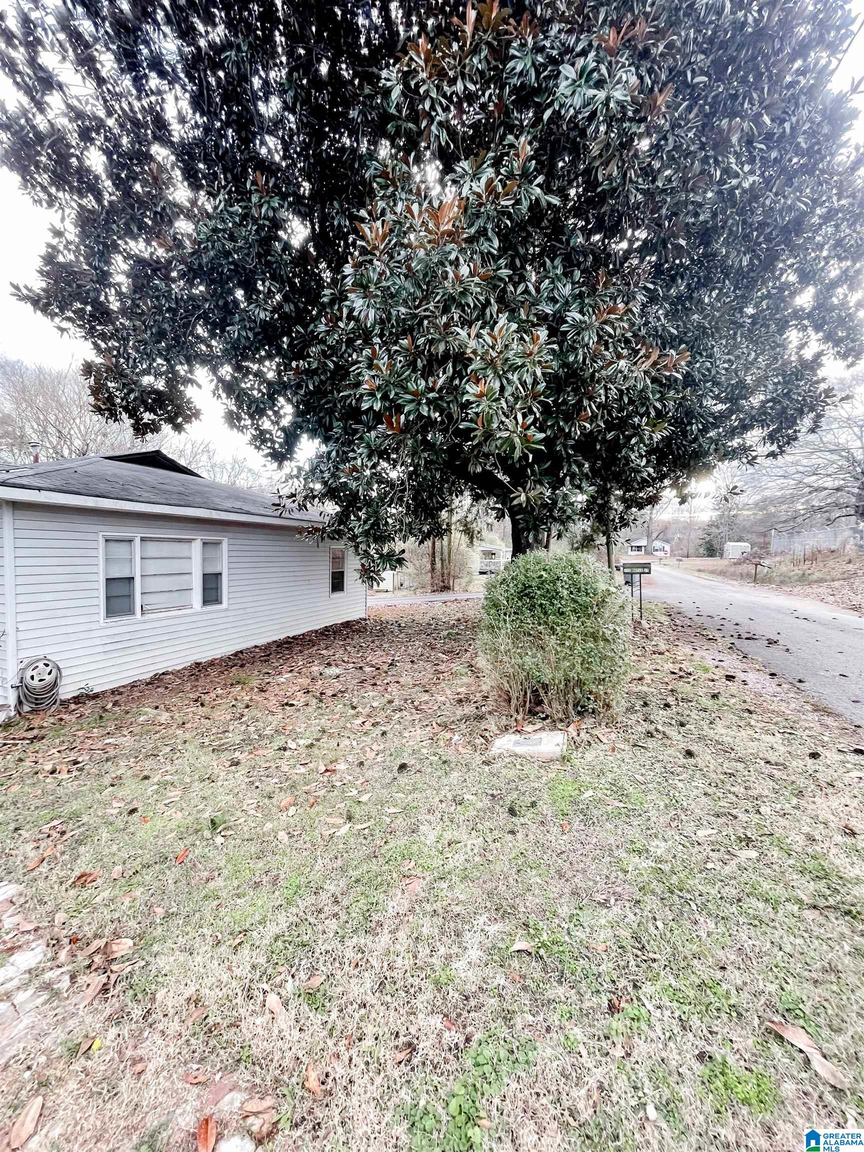 117 Maple Street Adamsville, AL 35005 - Photo 20 of 22