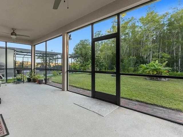 a view of a garden from a window